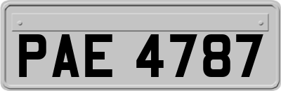 PAE4787