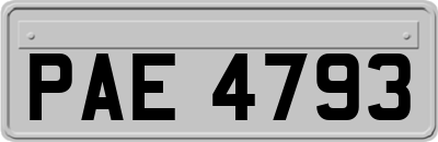 PAE4793