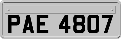 PAE4807