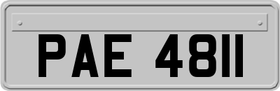 PAE4811