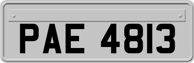 PAE4813