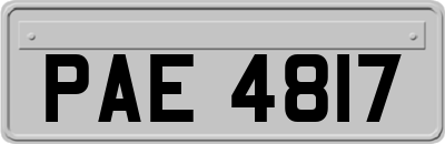 PAE4817