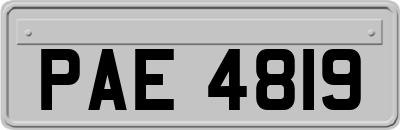 PAE4819