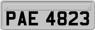 PAE4823
