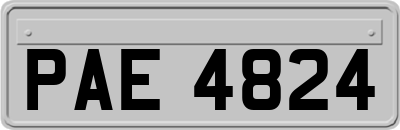 PAE4824