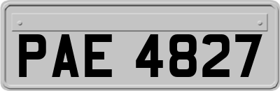PAE4827