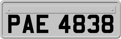 PAE4838