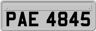 PAE4845