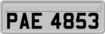 PAE4853