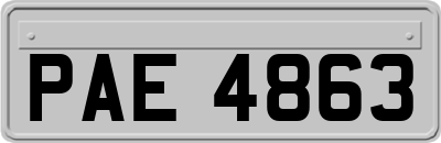 PAE4863