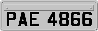 PAE4866