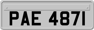 PAE4871