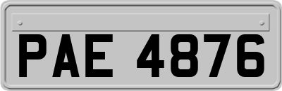 PAE4876