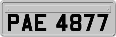 PAE4877
