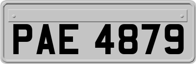 PAE4879