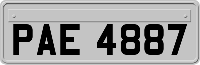 PAE4887