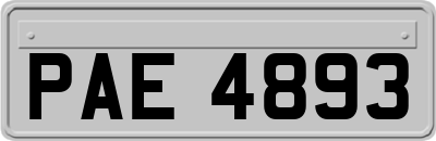 PAE4893