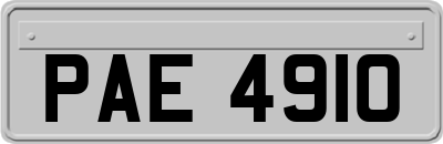 PAE4910