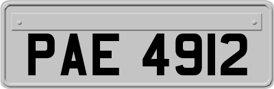 PAE4912