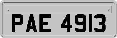PAE4913