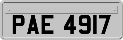 PAE4917