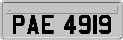 PAE4919