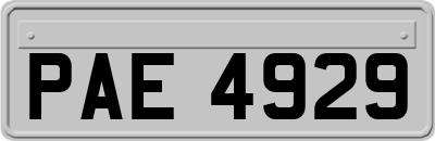 PAE4929