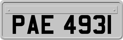 PAE4931
