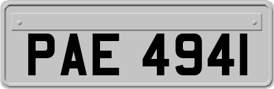 PAE4941