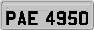 PAE4950