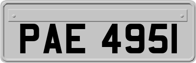 PAE4951