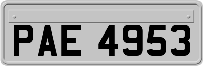 PAE4953