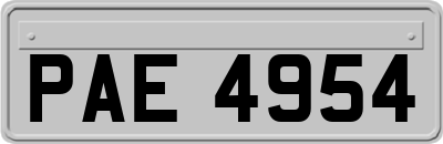 PAE4954