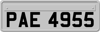 PAE4955