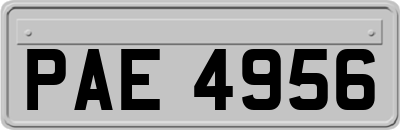 PAE4956