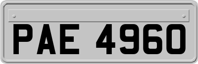 PAE4960