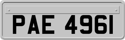 PAE4961