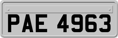 PAE4963