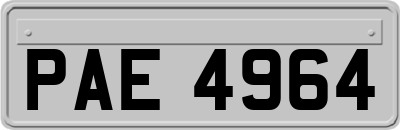 PAE4964