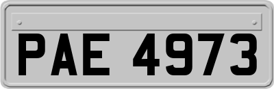 PAE4973