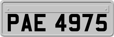 PAE4975