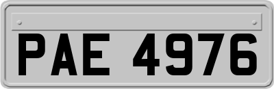 PAE4976