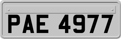 PAE4977