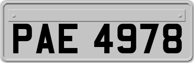 PAE4978
