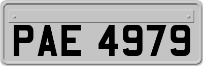 PAE4979