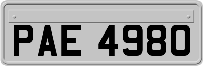 PAE4980