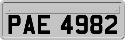 PAE4982