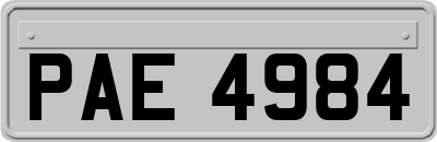 PAE4984