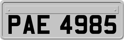 PAE4985