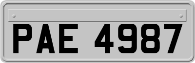 PAE4987